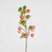 Wild Crab Apple Stem Red 80cm - Pack of 12