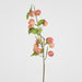 Wild Crab Apple Stem Red 80cm - Pack of 12