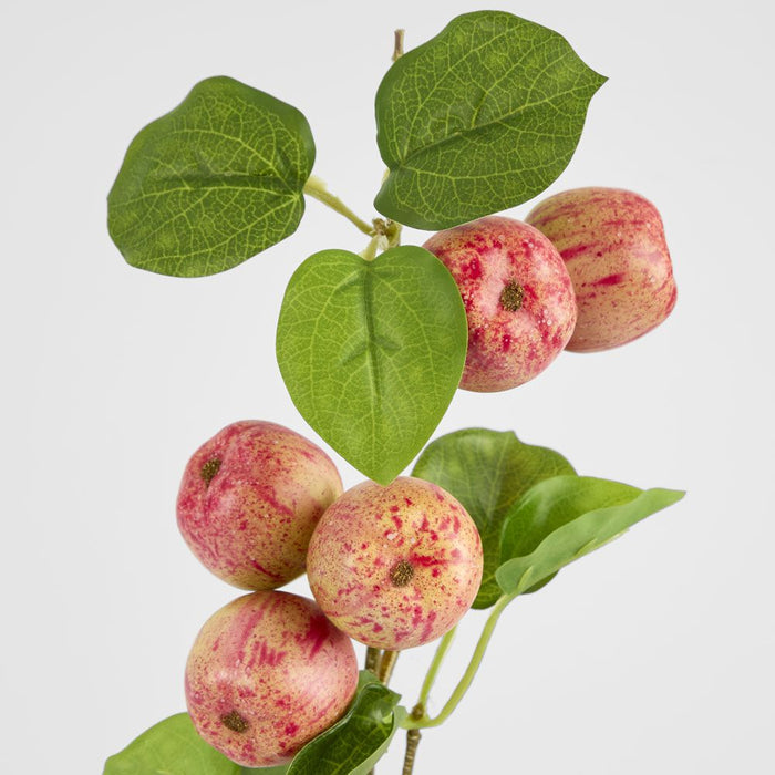 Wild Crab Apple Stem Red 80cm - Pack of 12