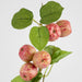 Wild Crab Apple Stem Red 80cm - Pack of 12