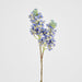 Baby Delphinium Blue 62cm - Pack of 12