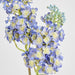 Baby Delphinium Blue 62cm - Pack of 12