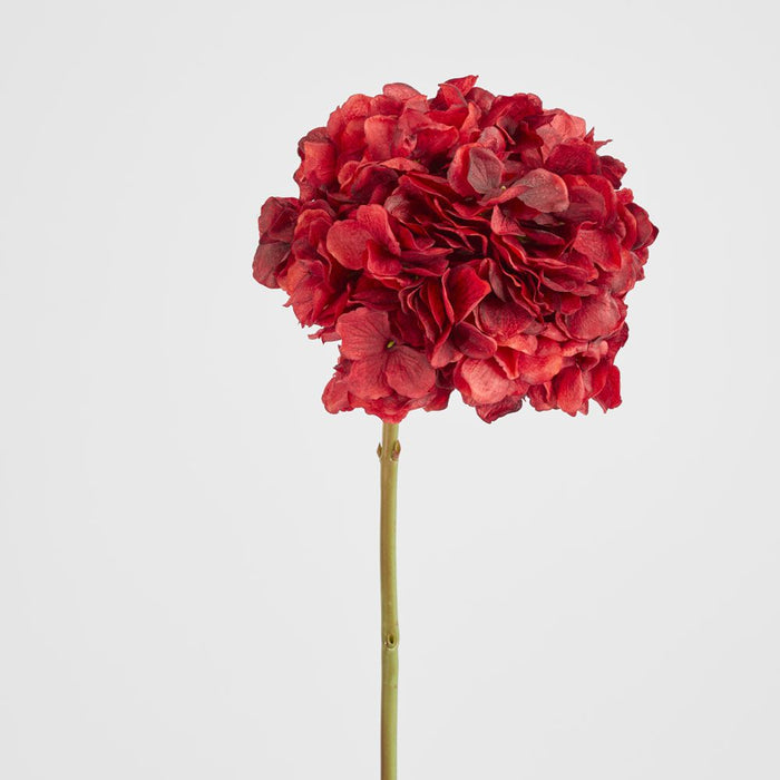 Round Head Hydrangea Burgundy 62cm - Pack of 12