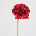 Round Head Hydrangea Burgundy 62cm - Pack of 12