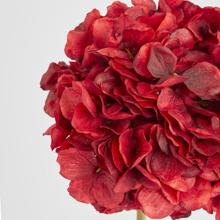 Round Head Hydrangea Burgundy 62cm - Pack of 12