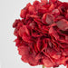 Round Head Hydrangea Burgundy 62cm - Pack of 12