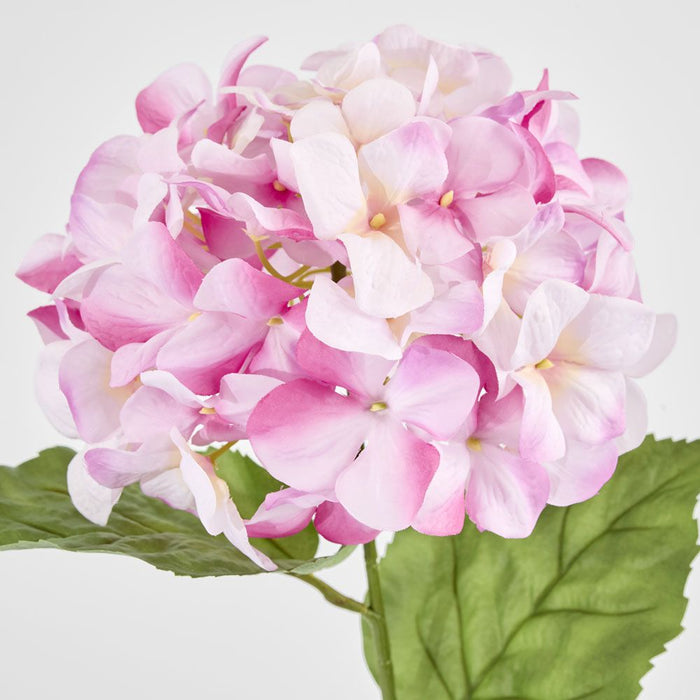 Domed Hydrangea 68cm Dark Pink - Pack of 12