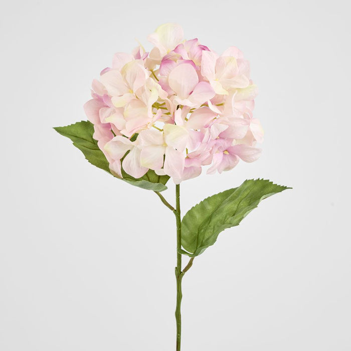 Domed Hydrangea 68cm Light Pink - Pack of 12