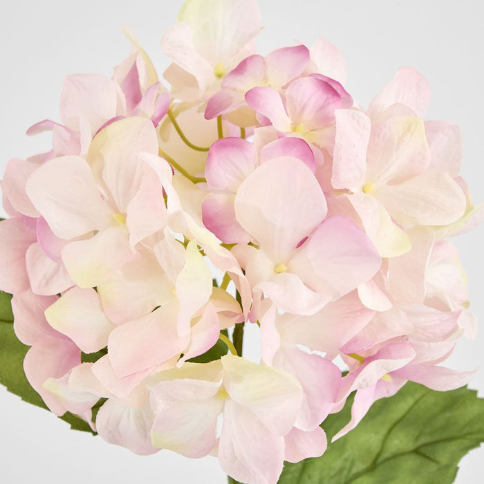 Domed Hydrangea 68cm Light Pink - Pack of 12