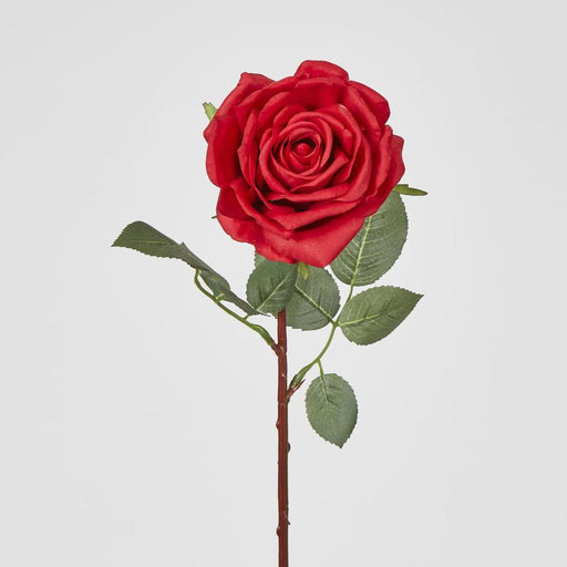 Bella Rose Real Touch 68cm Red - Pack of 12