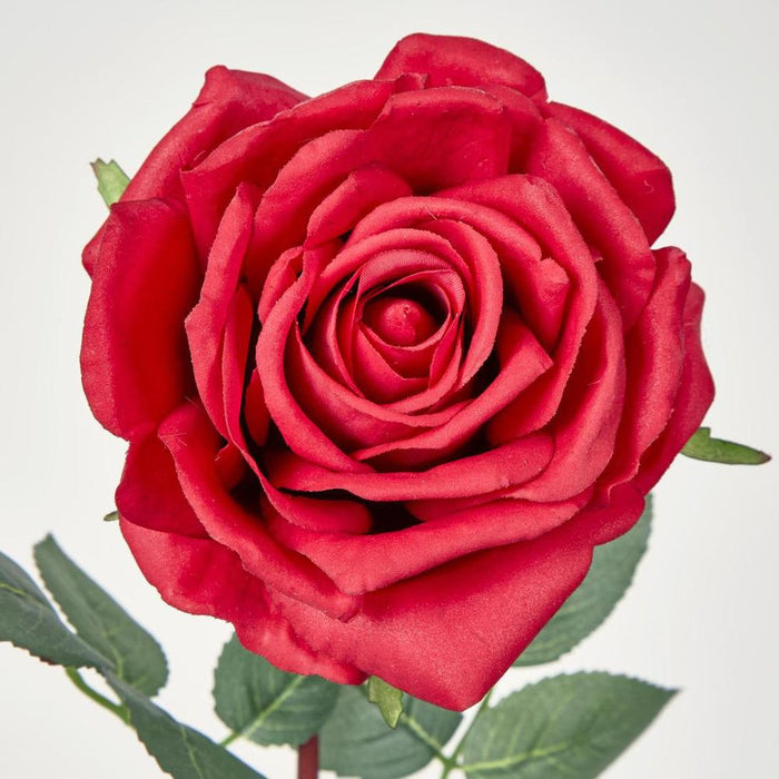 Bella Rose Real Touch 68cm Red - Pack of 12