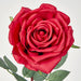 Bella Rose Real Touch 68cm Red - Pack of 12