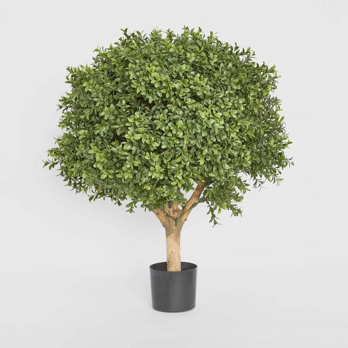 Boxwood Ball Topiary Tree 65cm
