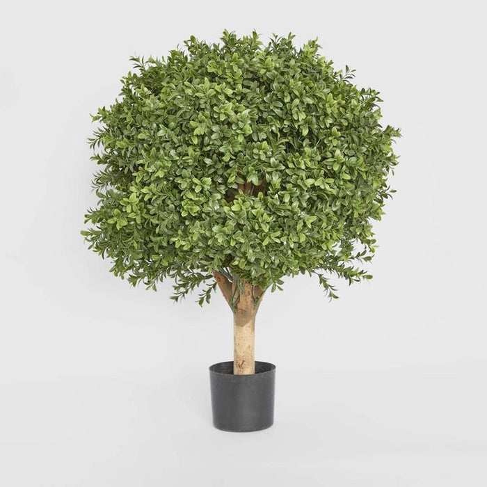 Boxwood Ball Topiary Tree 65cm