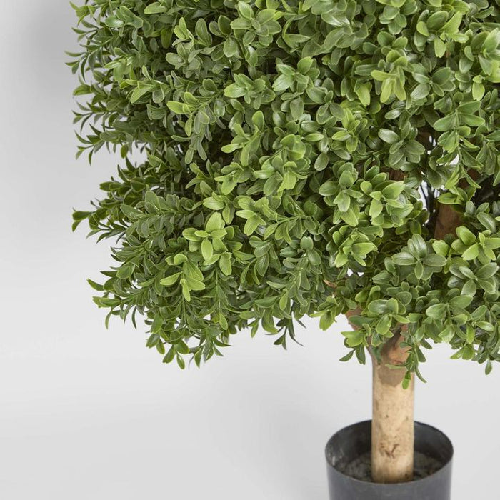 Boxwood Ball Topiary Tree 65cm