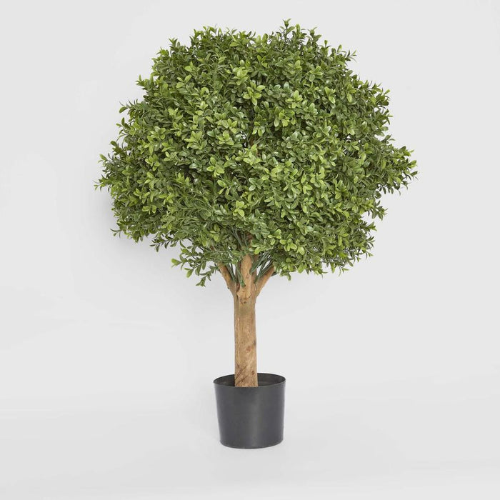Boxwood Ball Topiary Tree 75cm