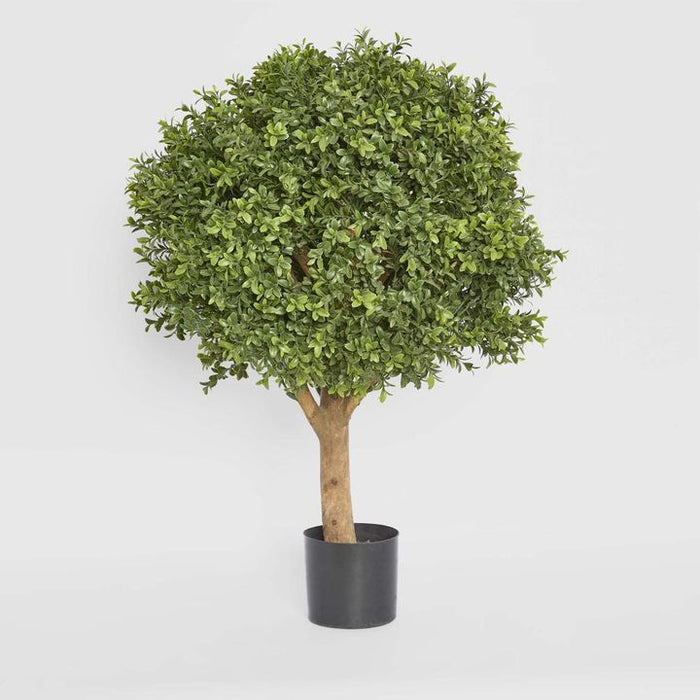 Boxwood Ball Topiary Tree 75cm