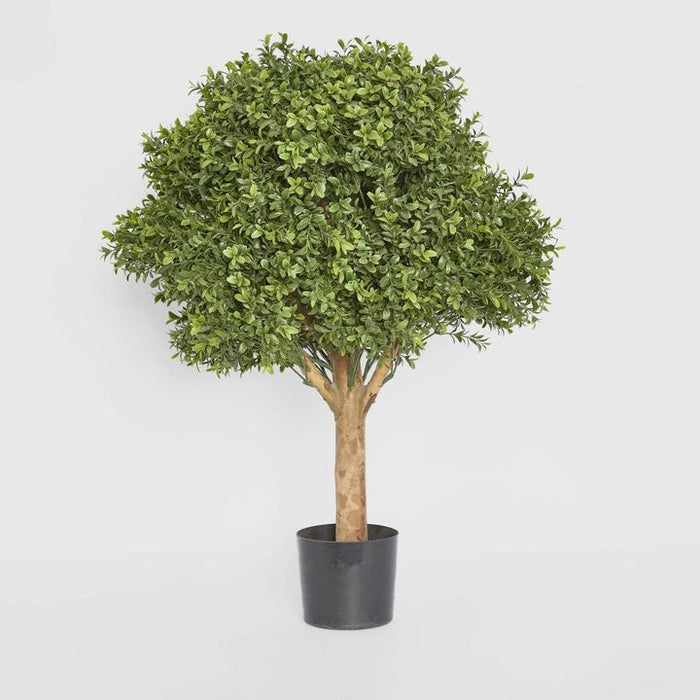 Boxwood Ball Topiary Tree 75cm