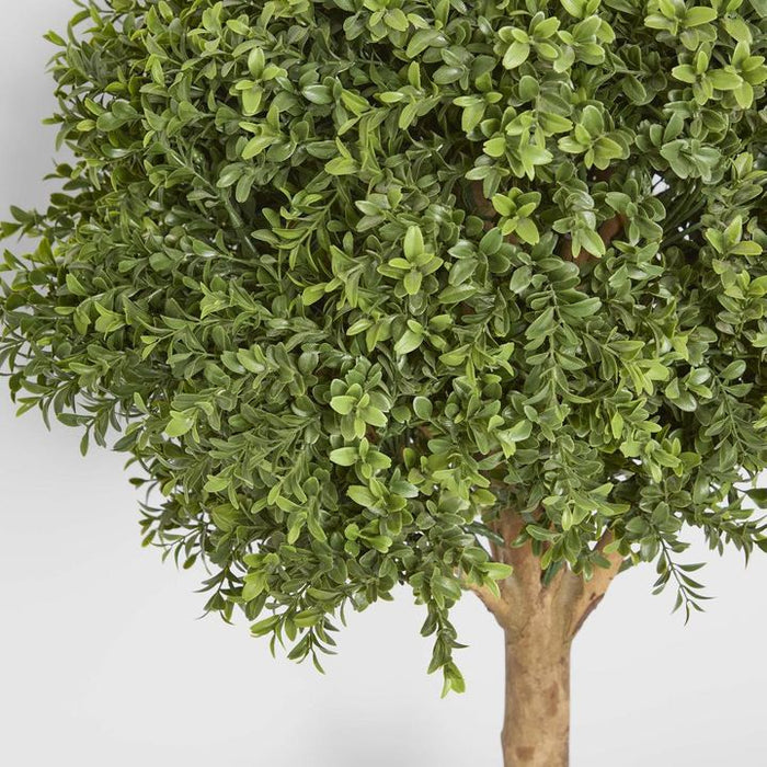 Boxwood Ball Topiary Tree 75cm