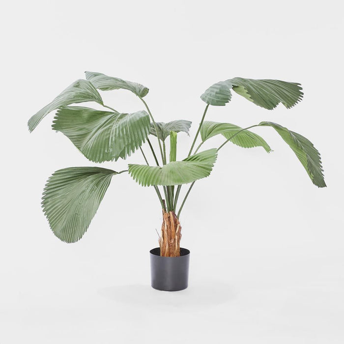 Fan Palm Tree 122cm