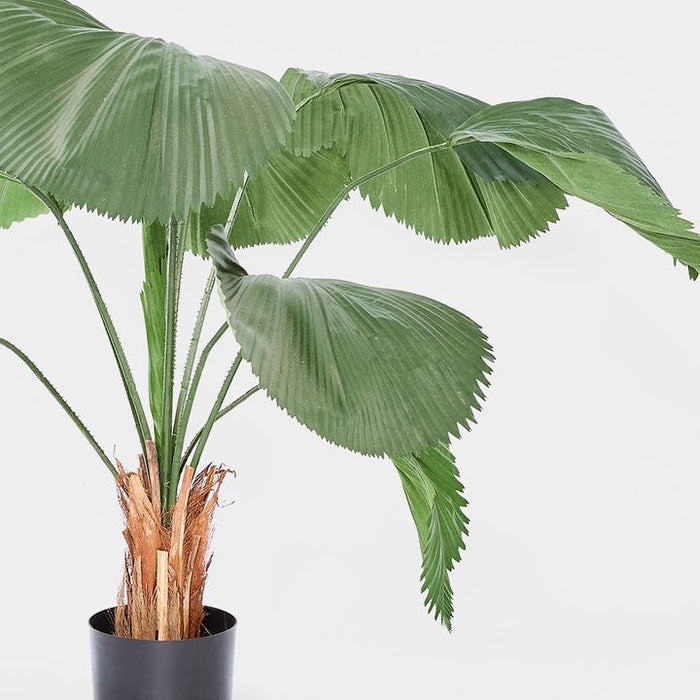 Fan Palm Tree 122cm