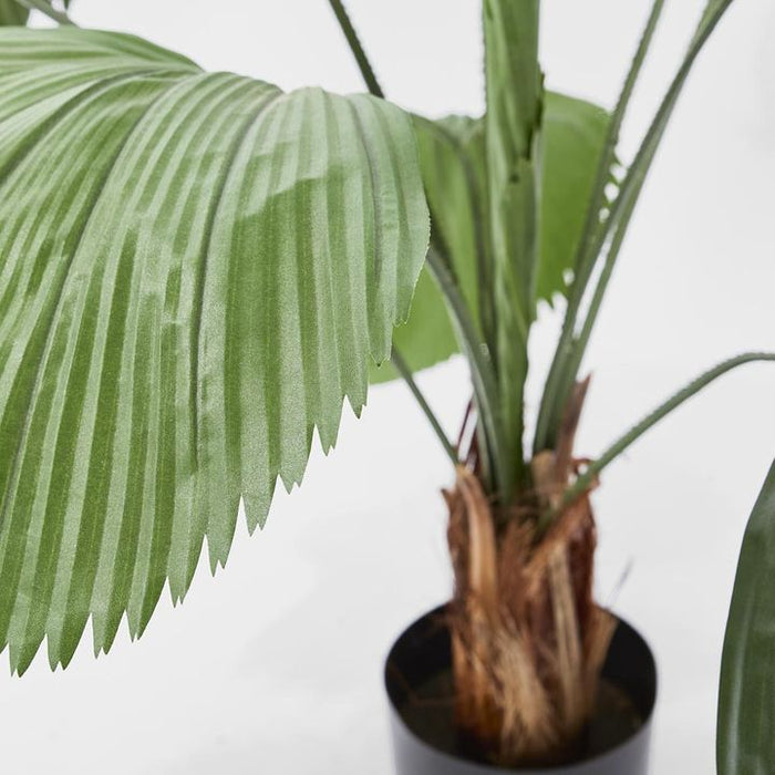 Fan Palm Tree 122cm