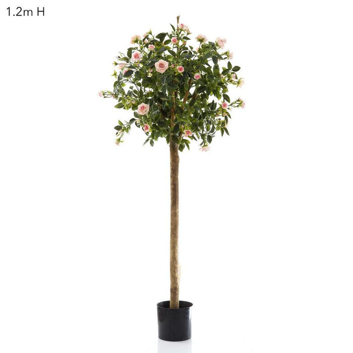 Diamond Rose Ball Tree Pink 105cm