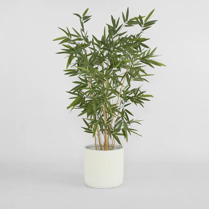 New Bamboo Tree Budget 160cm
