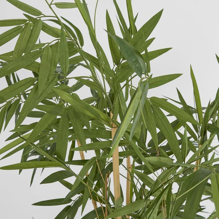 New Bamboo Tree Budget 160cm