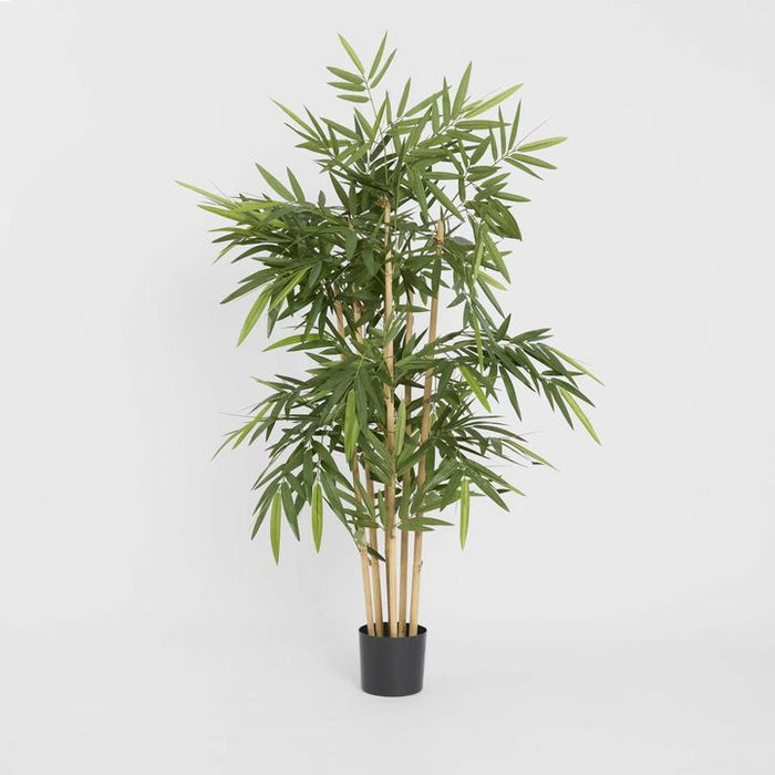 New Bamboo Tree 150cm