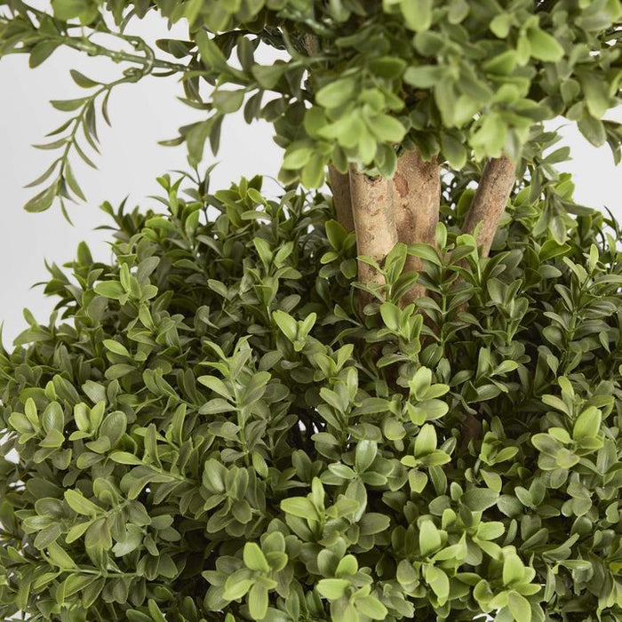 Boxwood Triple Ball Topiary Tree 120cm