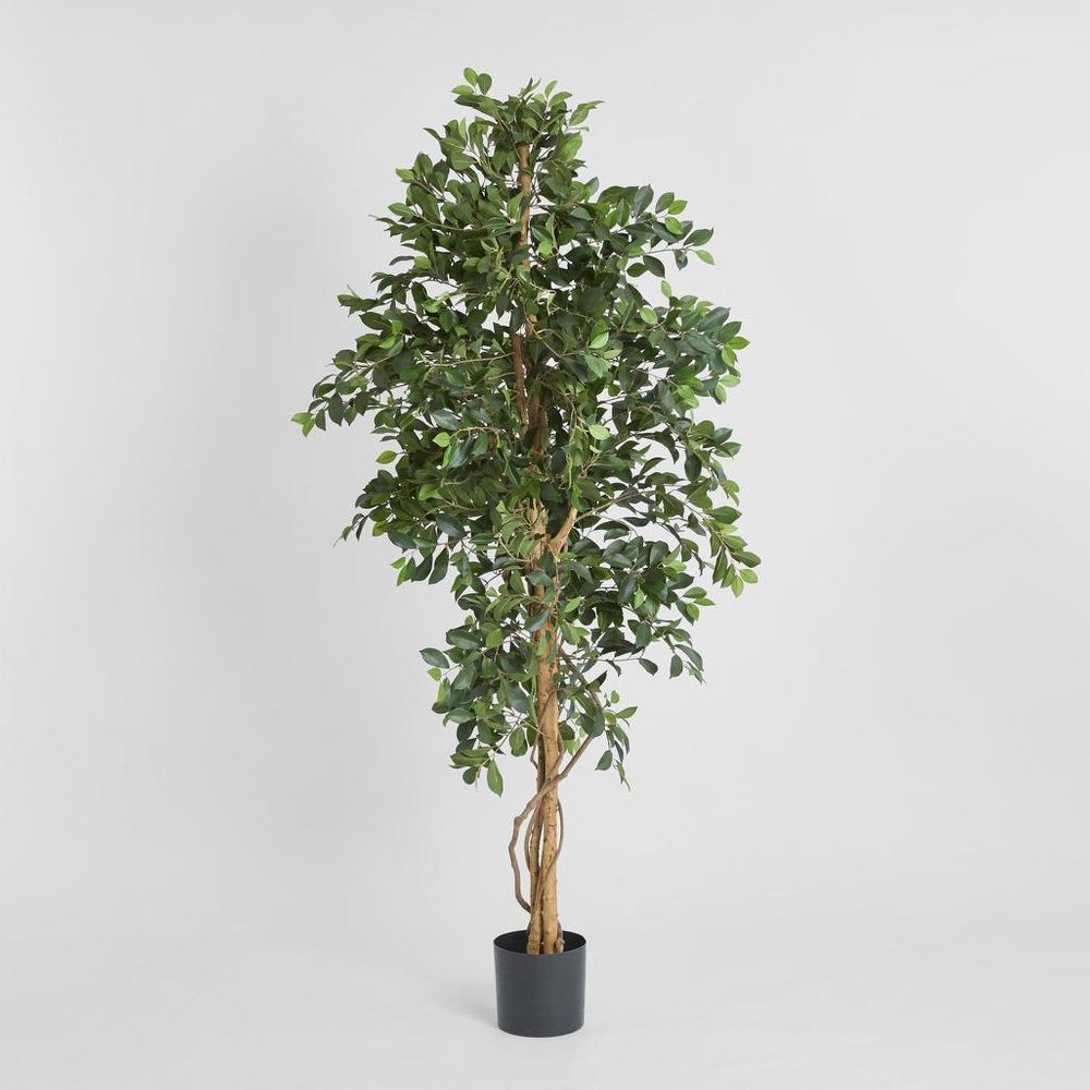 Artificial Ficus Trees