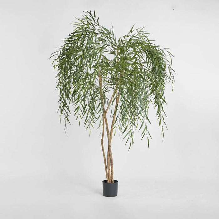 Willow Tree 180cm