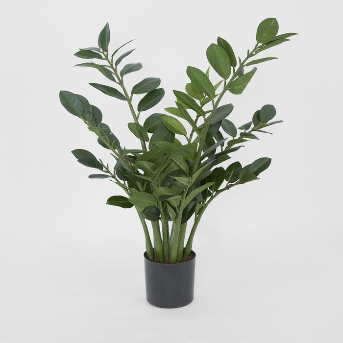 Smargago Potted Plant 66cm