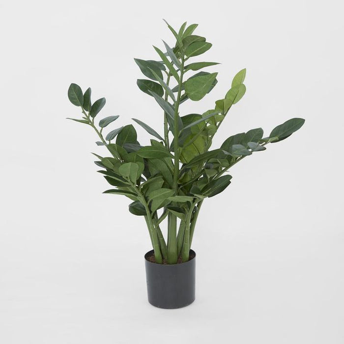 Smargago Potted Plant 66cm