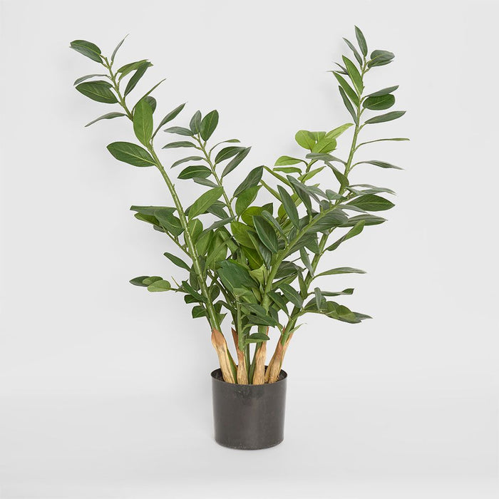 Smargago Potted Plant 90cm