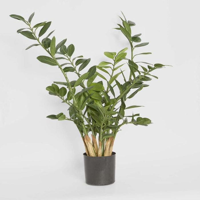 Smargago Potted Plant 90cm
