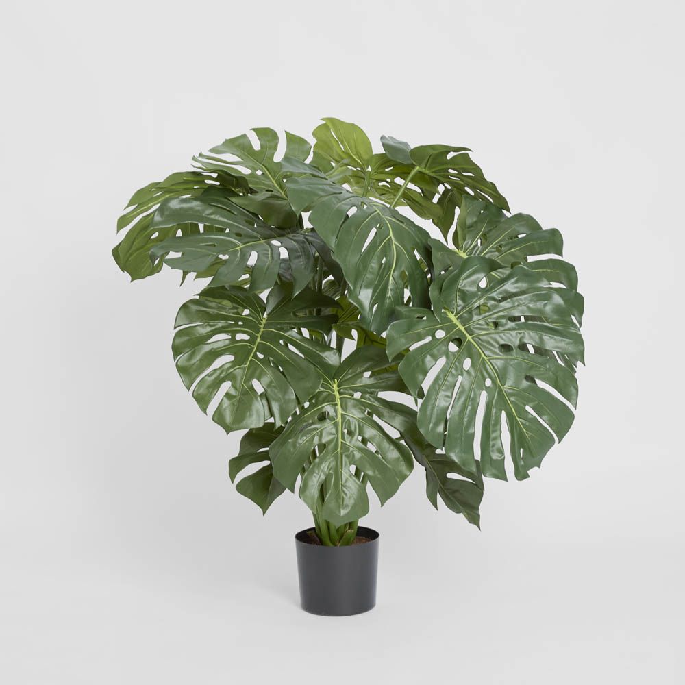 Artificial Monstera