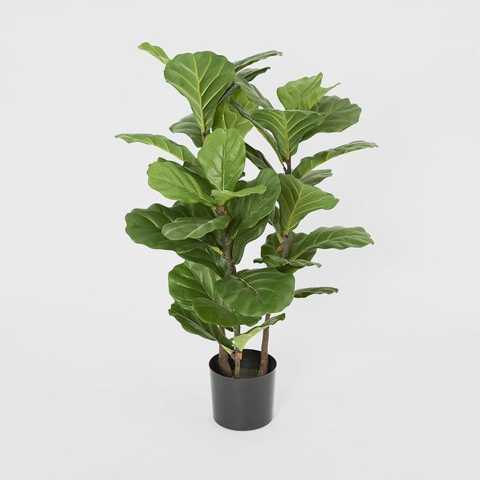 Fiddle Leaf Tree 93cm