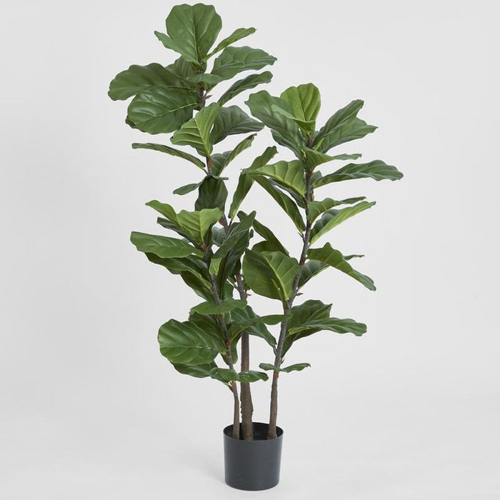 Fiddle Leaf Tree 133cm