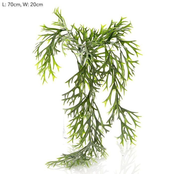 Staghorn Leaves Hanging Vine 70cm - Pack of 12