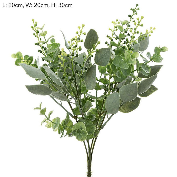 Eucalyptus Berry Bush 30cm Pack of 12