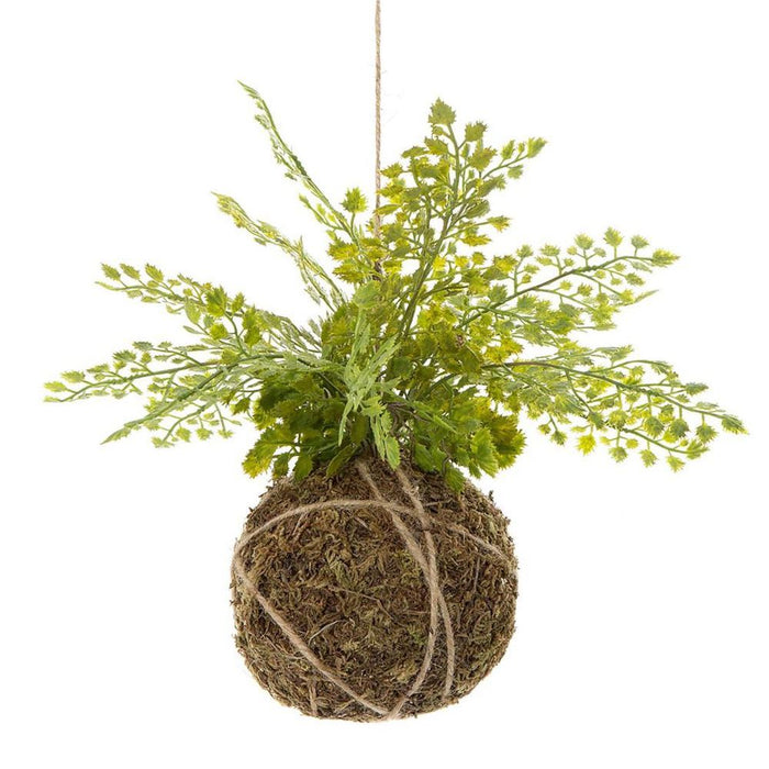 Fern Ball Hanging 25cm Pack of 6