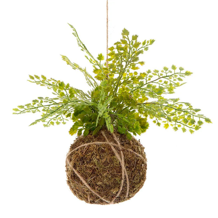 Fern Ball Hanging 25cm Pack of 6