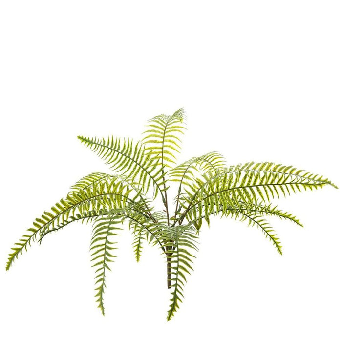Fern Pick 50cm Green Pack of 24