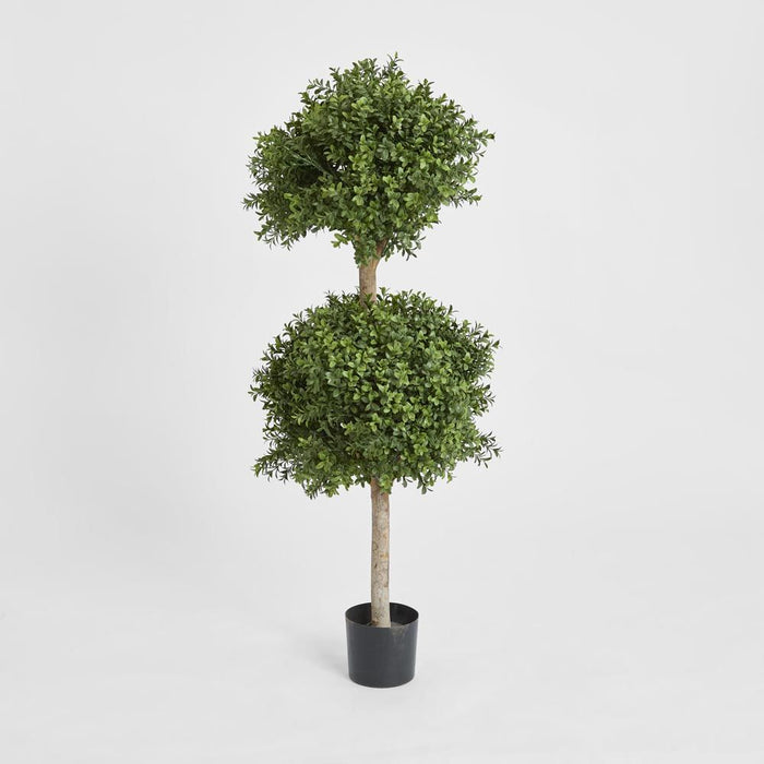 Boxwood Double Ball Topiary Tree 110cm