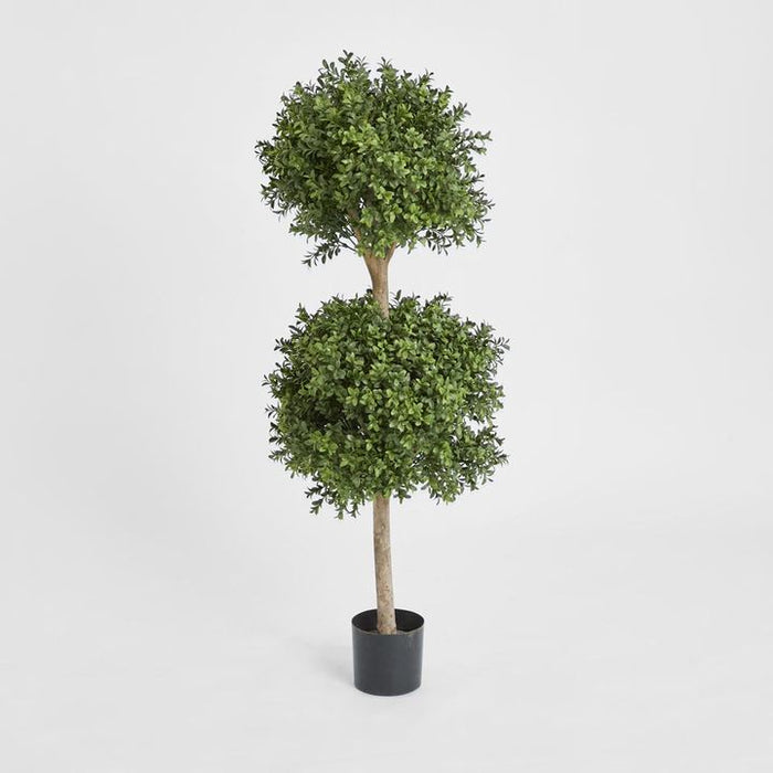 Boxwood Double Ball Topiary Tree 110cm