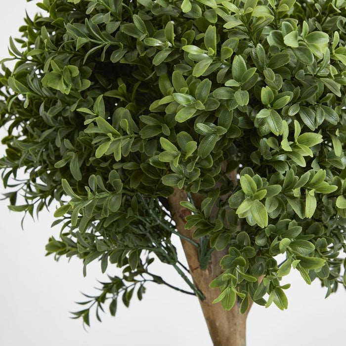 Boxwood Double Ball Topiary Tree 110cm