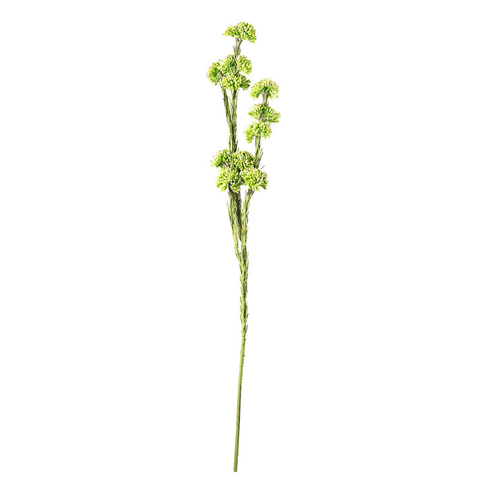 Sedum Stem Green 55cm Pack of 12