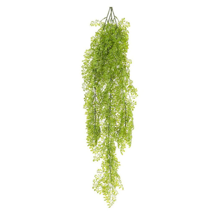 Fern Hanging 80cm Pack of 12